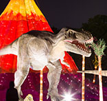 自貢燈會、彩燈彩船制作、會展、仿真恐龍-自貢燈貿